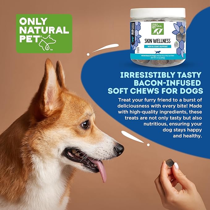 Only Natural Pet Skin Wellness Soft Chew 60 Count-Mewly Pet