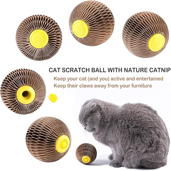 AREIIA Catnip Ball Toy for Cats Catnip Refillable Scratcher Ball Kitty's Faithful Playmate Reduce Obesity and Loneliness CSB01BR-Mewly Pet
