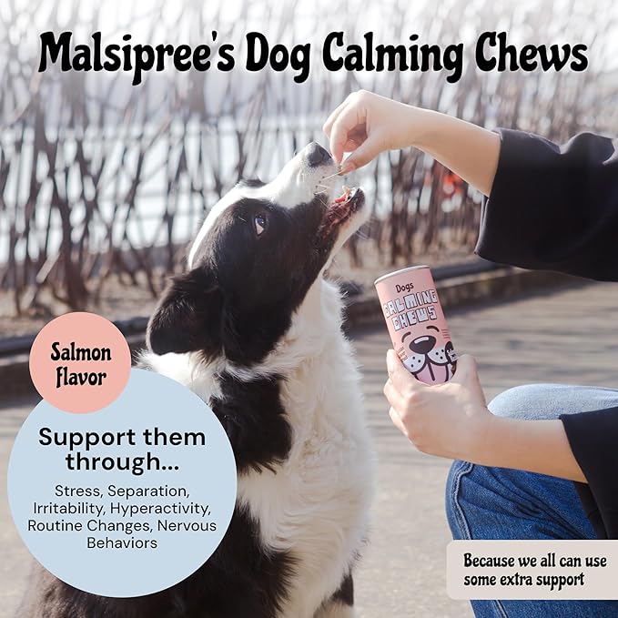 MalsiPree Calming Chews for Dogs - 145 pcs Salmon - Helps Regulate Mood - Anxiety Relief Treats - No Sedative Effect - Freeze Dried - with Passion Flower & Melatonin-Mewly Pet