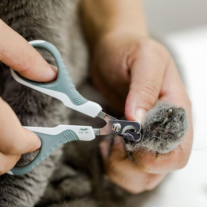 Mr. Pen- Cat Nail Clipper Cat Nail Trimmers Cat Claw Clippers Cat Claw Trimmers Kitten Nail Clipper Cat Clippers Nails Nail Clippers Cats Pet Nail Clippers Cats Cat Nail Cutter Olive ALNA001M301N-Mewly Pet