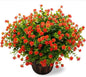 Artificial Mums Fall Flowers for Outdoors Fake Plants, 16 Bundles Faux Eucalyptus Flower Plants UV Resistant No Fade Faux Shrubs Home Garden Thanksgiving Porch Patio Autumn Decoration