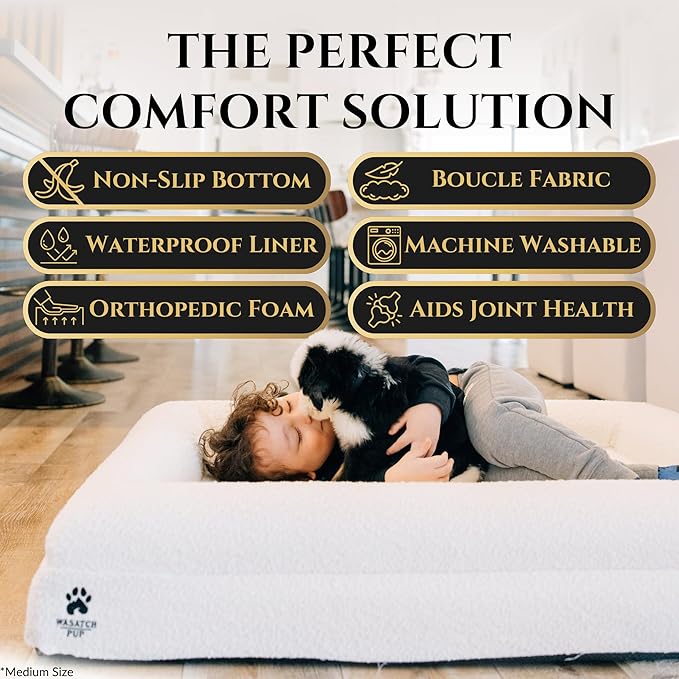 Luxury Boucle Fabric Orthopedic Dog Bed with Memory Foam | Breathable Comfort & Washable Dog Couch Bed with Waterproof Liner & Cover | Ideal Pet Beds for Small Dogs - Charcoal (29"x23"x6")-Mewly Pet