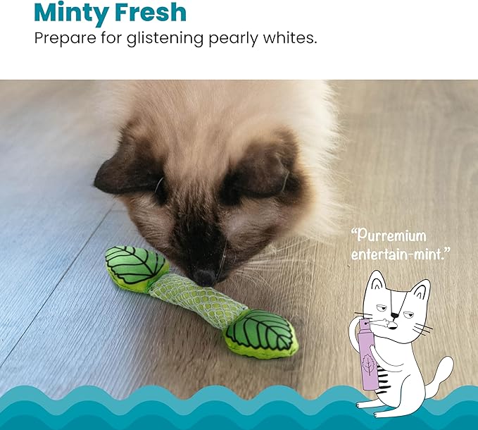 Petstages Fresh Breath Mint Stick Dental Cat Chew Toy-Mewly Pet