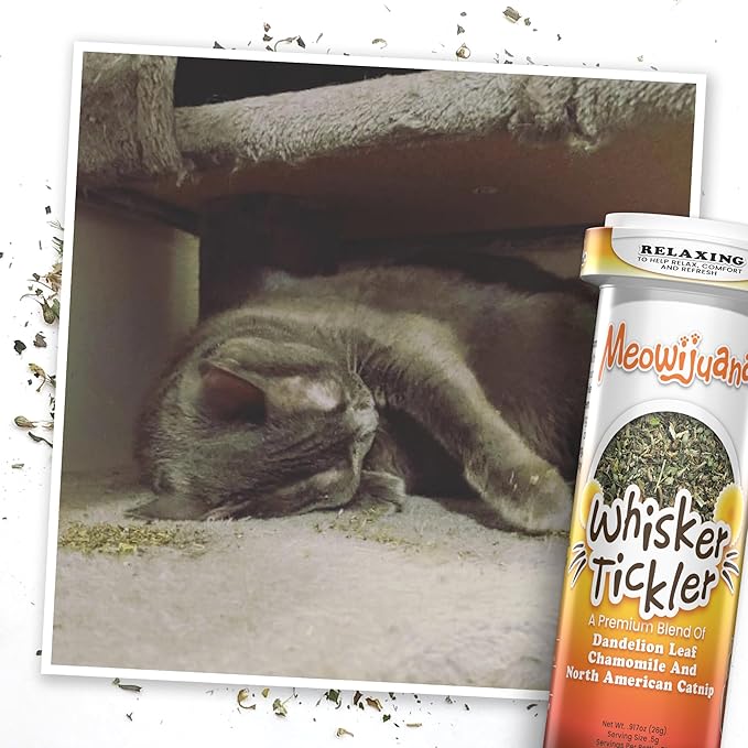 Meowijuana Purrple Passion Cat Nip - Premium Organic Blend of Catnip for Cats & Silvervine, Stimulates Playful Behavior, 26g, Natural Wellness Gift for Cat Lovers-Mewly Pet