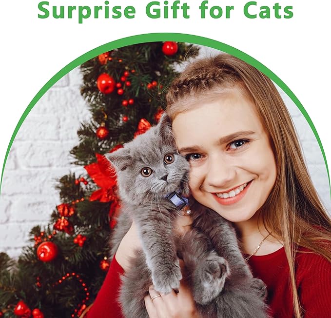 3pcs Safe Cat Rope Toy,Teeth Clean Toy for Cat, Cat Chew Toys for Indoor Cat,Kitten Interactive Toys-Mewly Pet