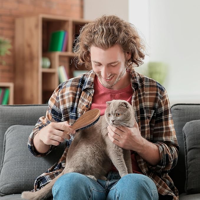 Takavu Boar Bristle Cat Hair Brush, Gentle Grooming Brush with Natural Bristles and Wooden Handle for Sensitive Skin, Pet Cleaning Supplies Keeping Your Cat's Fur Hair Coat Healthy and Shiny-Mewly Pet