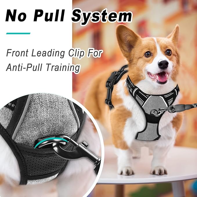 BARKBAY No Pull Dog Harness Large Step in Reflective Dog Harness with Front Clip and Easy Control Handle for Walking Training Running(Flint Gray,L)-Mewly Pet