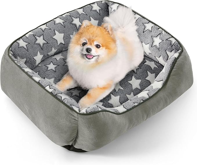 SIWA MARY Dog Bed Medium Size Dog,Waterproof Dog Sofa Beds,Comfort Dog Beds for Medium Dogs with Non-Slip Botttom,S Plus(25"x21"x8") Dark Grey-Mewly Pet