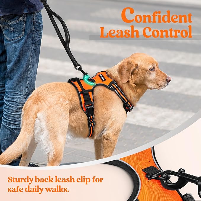 rabbitgoo Dog Harness No Pull with 2 Leash Clips, Adjustable Soft Padded, Reflective Oxford No Choke Pet Vest with Easy Control Handle for Large Dogs, Orange, XL-Mewly Pet
