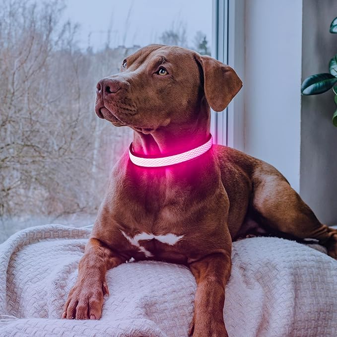 Flashseen LED Dog Collar, Light Up Dog Collar USB Rechargeable, Brightest Dog Lights for Night Walking, Adjustable Dog Collar Light for Dog Safety(Small, Candy Pink)-Mewly Pet