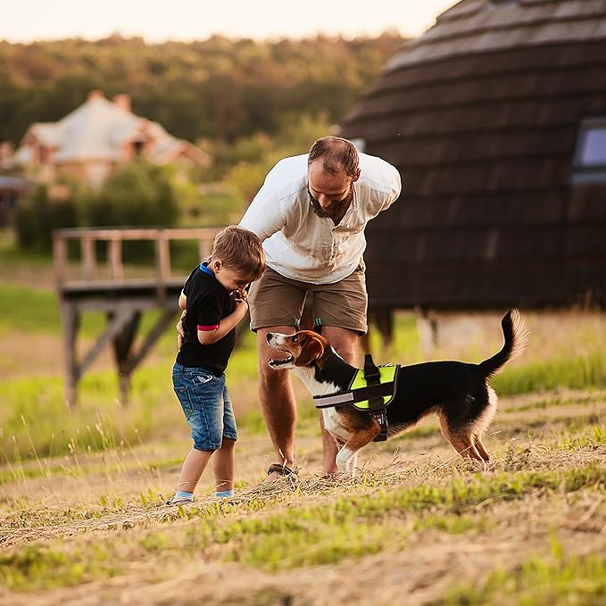 Dogline Dog Harness, Reflective No-Pull Adjustable Vest with Handle for Walking, Training, Breathable, No - Choke Harness for Small, Medium or Large Dogs Room for Patches Girth 18 to 24 in Lime Green-Mewly Pet