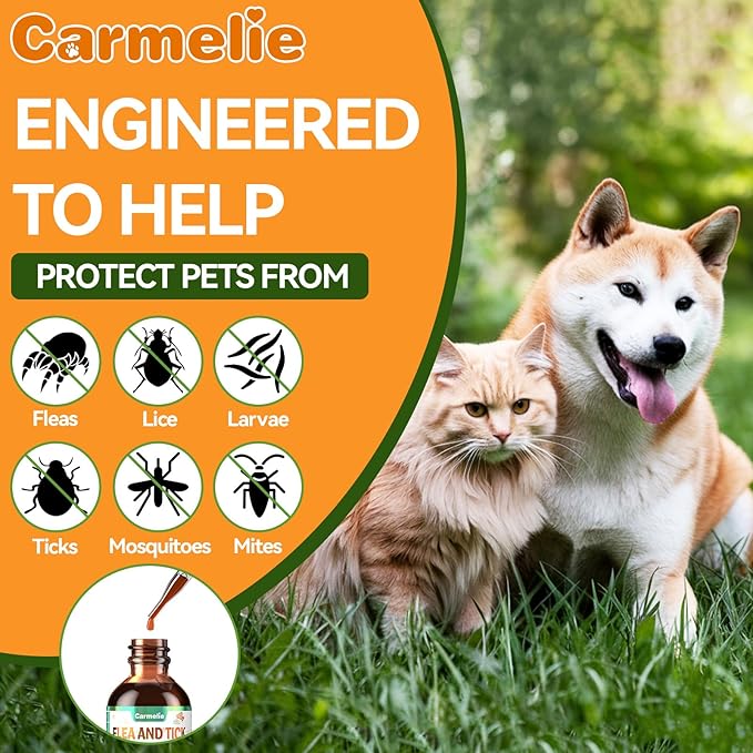 Oral Flea and Tick Support for Dogs and Cats, Natural Dog Flea and Tick Defense, Cat Flea Drops Supplements with Vitamin for Pets - All Breeds and Ages - Bacon-Mewly Pet