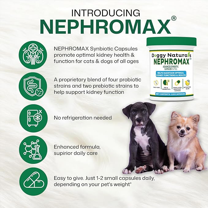 NEPHROMAX™ Kidney Support Supplement Cats 360-Mewly Pet