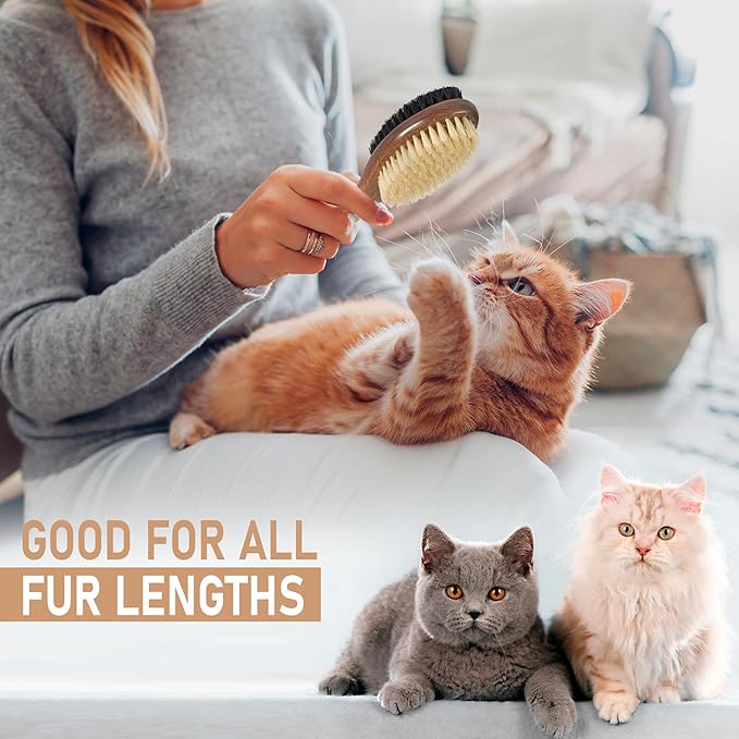 Takavu Double-Sided Boar Bristle Cat Brush - Natural Grooming Tool for Gentle Cleaning, Shine & Reduced Loose Hair - Wood Handle Pet Brush-Mewly Pet