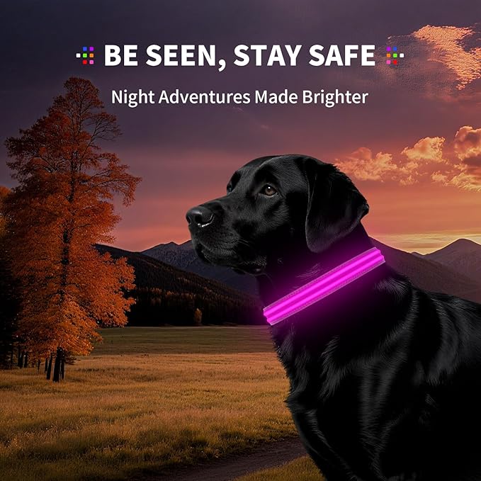 LED Dog Collar with Metal Buckle - USB Rechargeable Glow Collar for Dogs, Waterproof Light Up Dog Collar w/Reflective Strips - Adjustable Night Safety Collars by PetIsay(Pink,Large)-Mewly Pet