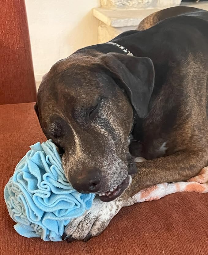 Medium Breed Snuffle Interactive Foraging Dog Puzzle Ball Toy Blue Large-Mewly Pet