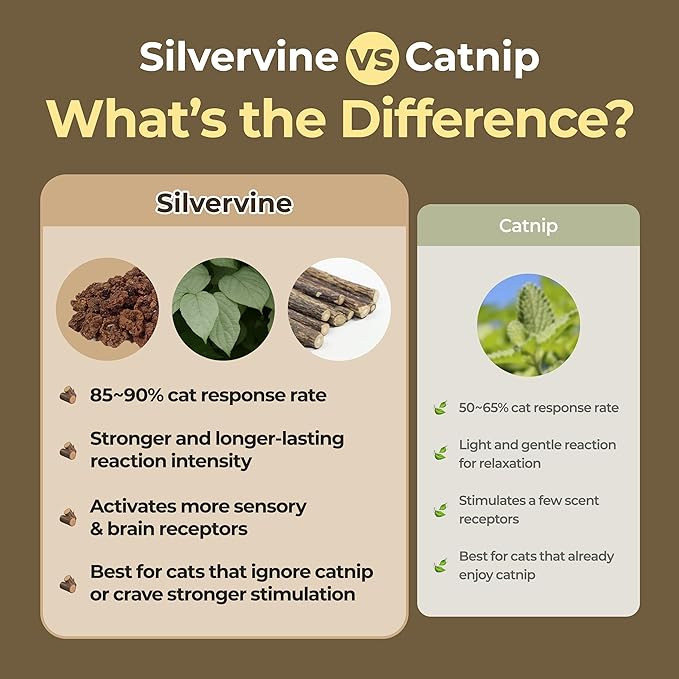 JAYU PET Active MATA Spray – 100% Natural Silvervine Spray for Cats, Liquid Catnip Alternative, Calming Spray for Indoor Kittens, Boosts Play & Engagement, Reduces Stress (1 fl oz)-Mewly Pet