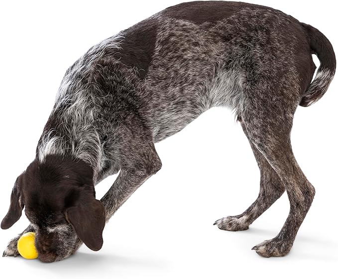 WEST PAW Boundr Ball Dog Fetch Toy – Bouncing Toys for Dogs, Fetch, Catch, Chewing, Play – Floatable, Recyclable Balls – Small Dandelion Yellow/Hot Pink 2-Pack-Mewly Pet