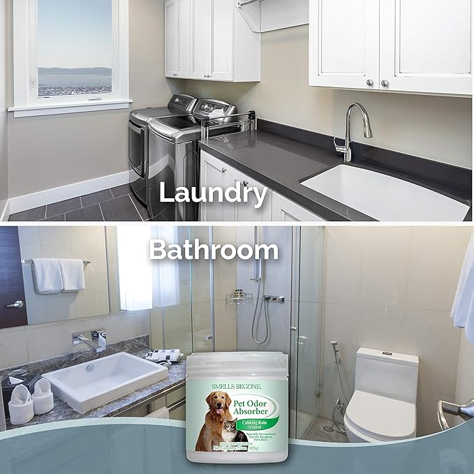 SMELLS BEGONE Air Freshener Odor Absorber Gel - 15 oz, Pack of 2 - Absorbs and Eliminates Odor in Pet Areas, Bathrooms, Cars, & Boats - Made with Essential Oils - Calming Rain Scent-Mewly Pet