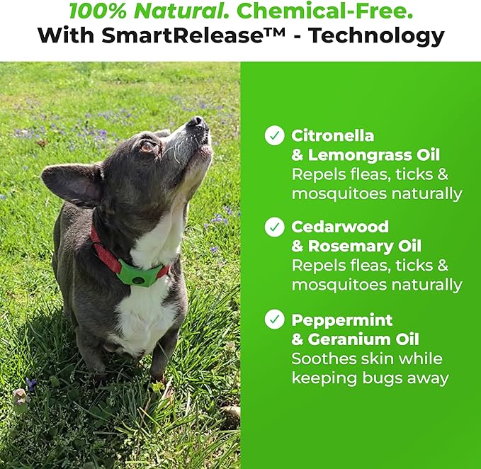 FurLife Green Dog Tag, Flea and Tick Prevention for Dogs - Waterproof Pendant for Collar, Safe for All Breeds-Mewly Pet