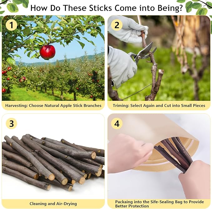 600g Organic Apple Sticks Small Animals Molar Wood Treats Toys for Chinchillas Guinea Pig Rabbits Hamster Gerbil Parrot Bunny Chew Stick Toys, 21.2 OZ-Mewly Pet