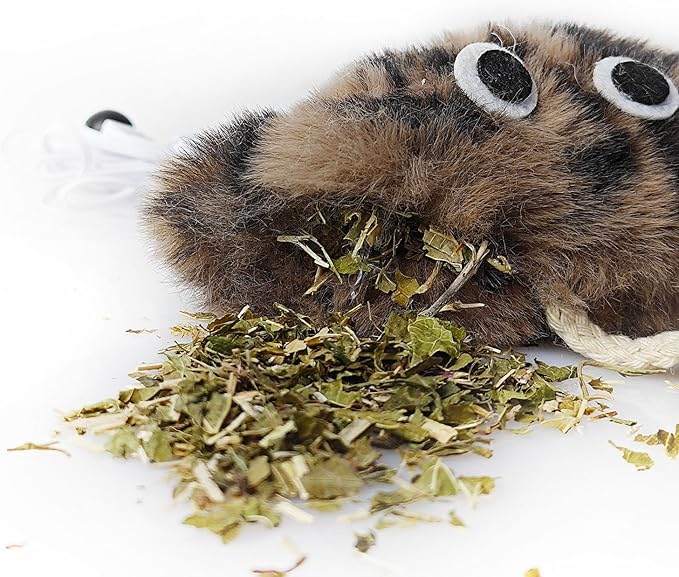 Cat Toys for Indoor Cats,Interactive Door Hanging Cat Toys Attached with Catnip/Feathers/Birds/Mouse Toys for Cats/Kitten Toys(3 Pack)-Mewly Pet