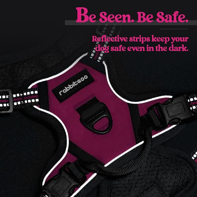 rabbitgoo Dog Harness No Pull with 2 Leash Clips, Adjustable Soft Padded, Reflective Oxford No Choke Pet Vest with Easy Control Handle for Puppy, Hot Pink, XS-Mewly Pet