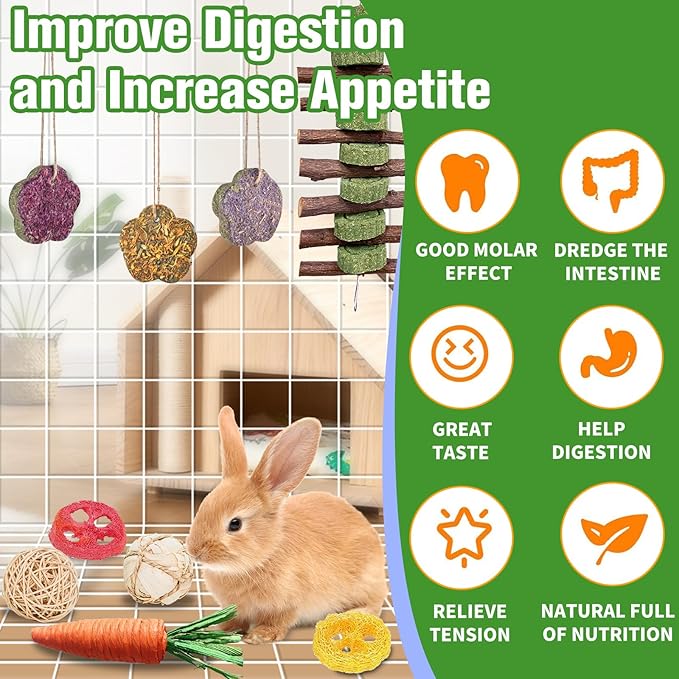 WDEFUN 21-Piece Natural Small Pet Chew Toys Set for Rabbits, Hamsters & Organic Grass Mat, Hay Sticks, Loofah Slices, Wooden Chews & More for Dental Health & Boredom Relief-Mewly Pet