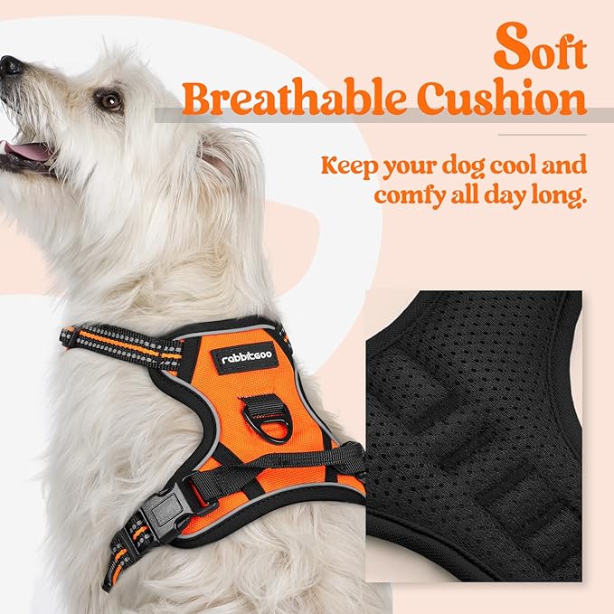 rabbitgoo Dog Harness No Pull with 2 Leash Clips, Adjustable Soft Padded, Reflective Oxford No Choke Pet Vest with Easy Control Handle for Puppy, Orange,XS-Mewly Pet