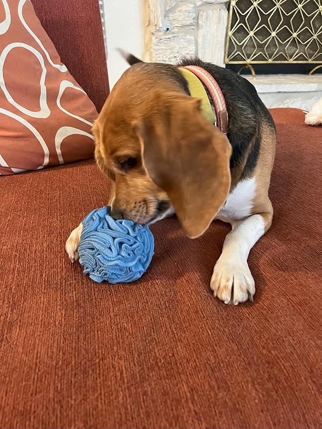 Puppy and Small Breed Snuffle Interactive Foraging Dog Puzzle Ball Toy Blue Small-Mewly Pet