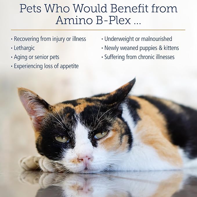 Rx Vitamins Amino B-Plex Cat & Dog Supplement - Vitamin B Complex Liquid Plus Amino Acids for Dogs & Cats - Appetite Booster and Cat & Dog Weight Gainer - Supplements & Vitamins - 8 oz-Mewly Pet