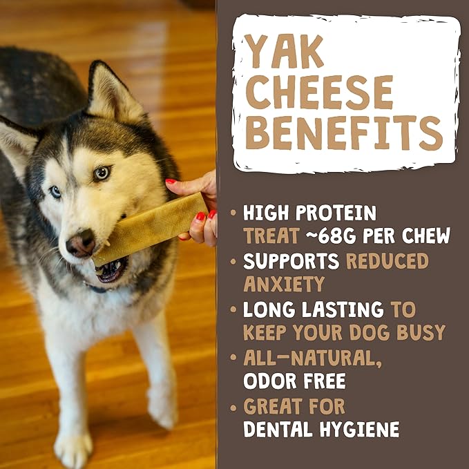 Mighty Paw Yak Cheese Chews for Dogs | All-Natural Long Lasting Pet Treats. Odorless and Great for Oral Health. Limited-Ingredient Chews for Puppies & Power-Chewers (Large, 8 Pack)-Mewly Pet