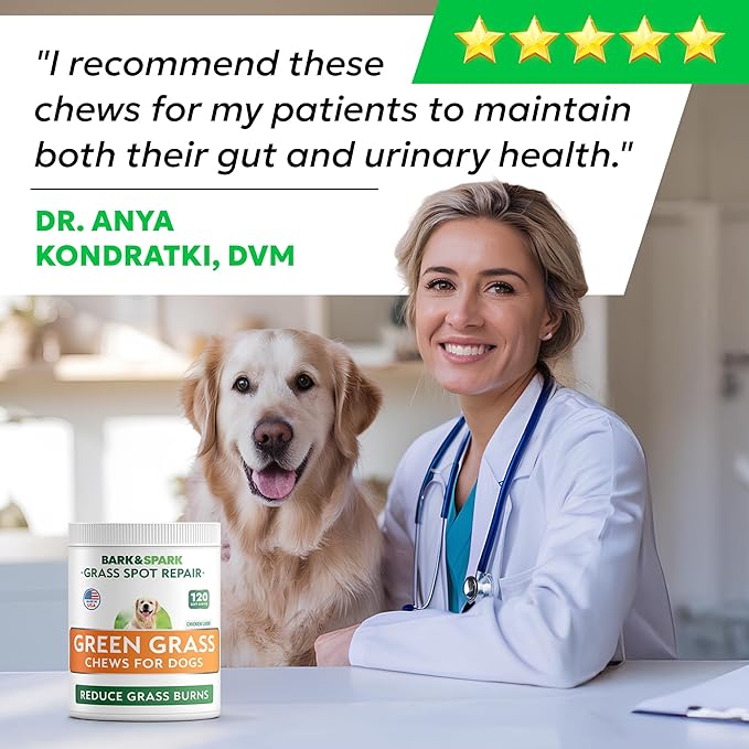 BARK&SPARK Green Grass Chews - Pee Grass Spot Saver Caused by Dog Urine - Urine Neutralizer for Lawn, Gut Health Probiotics & Digestive Enzymes,Lawn Burn from Dog Urine, Grass Burn Spot Chews (240Ct)-Mewly Pet