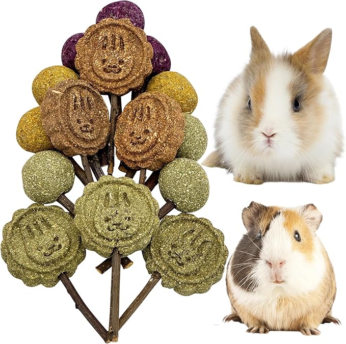Fhiny Rabbit Chew Toys, 15 PCS Natural Bunny Lollipop Chew Sticks Handmade Guinea Pig Molar Treats for Teeth Small Animals Snacks for Guinea Pig Bunny Chinchilla Hamster Gerbil Teeth Care-Mewly Pet