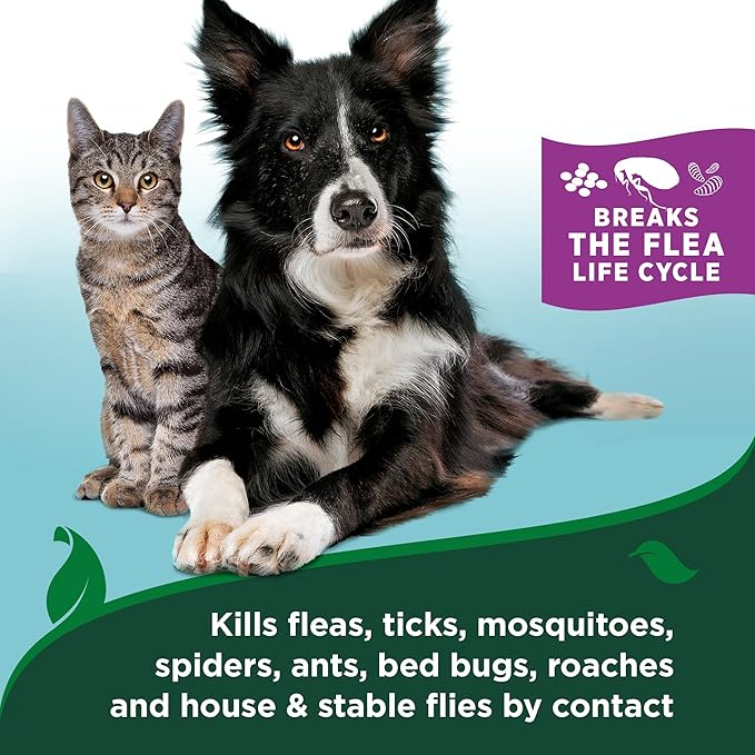 Vet's Best Natural Flea & Tick Mist for Cats – Plant-Powered Spray with Cotton Spice Scent – Natural Flea Prevention and Pest Control – Gentle Formula for Indoor Use – Safe for Pets – 6.3 oz-Mewly Pet