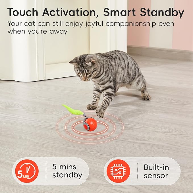 Potaroma Moving Ball Cat Toys with Feather Tail, Rechargeable 2025 New Interactive Toy for Indoor Cats Exercise, Smart Interactive Kitten Rolling Ball, Orange-Mewly Pet