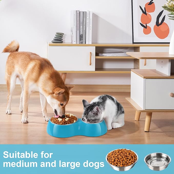 Elevated Dog Bowls Set - Non-Slip Raised Pet Feeder with Medium (2 Cups) & Large (4 Cups) Stainless Steel Bowls - Includes Durable Resin Stand for Puppies, Adult Dogs & Cats - Blue-Mewly Pet