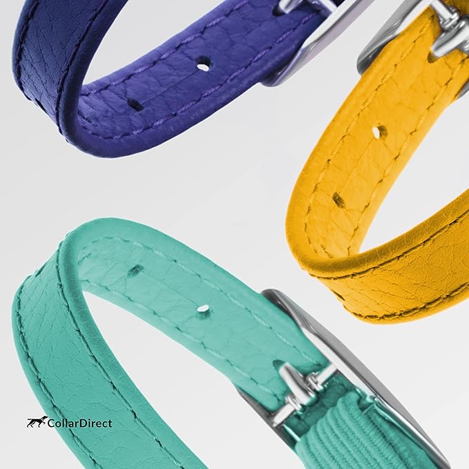 CollarDirect Leather Cat Collar with Removable Bell – Safety Kitten Collar with Elastic Strap (Yellow, 15 - 18 cm)-Mewly Pet