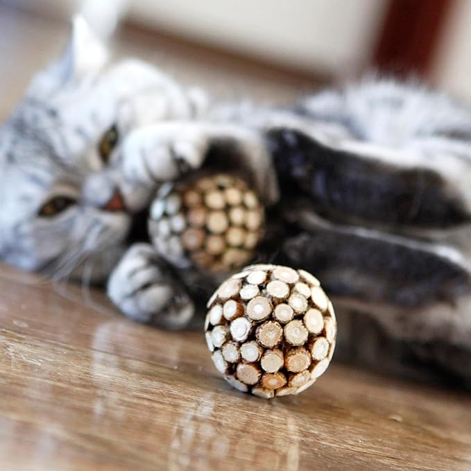 3PCS Cat Ball Toy,Silvervine Ball with Catnip Gall Fruit silvervine Sticks Powder Inside,Catnip Toys for Indoor Cats,Kitten Cleaning Teeth Cat Chew Toy-Mewly Pet
