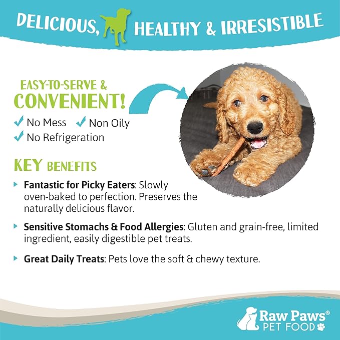 Raw Paws Grain-Free Soft Stick Treats for Dogs & Cats - Chicken Recipe, 6-oz - USA Soft Chicken Dog Treats Grain Free - Sausage Sticks for Dogs, Dog Jerky Sticks - Chewy Jerky-Mewly Pet