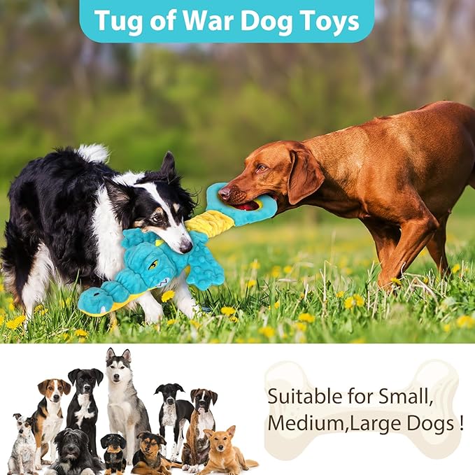 Dog Toys Cute Alligator Dog Toy Tough Plush Puppy Toy for Playtime, Training & Tug of War- Interactive Squeaky & Crinkle Chew Toy for Small to Large Dogs-Mewly Pet