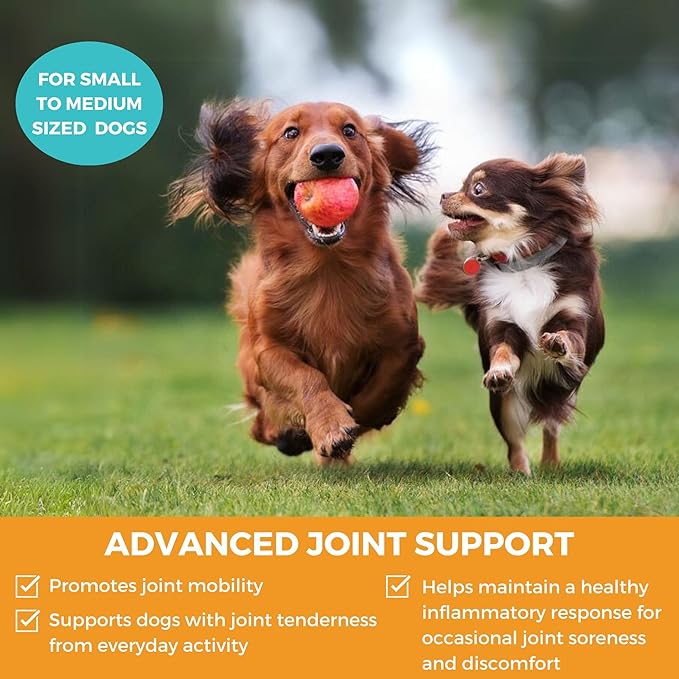 Nootie Progility Mini Hip & Joint Small & Medium Breed Chew Supplement for Dogs, 60 Count-Mewly Pet