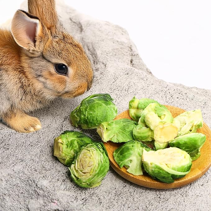 Abizoo Freeze Dried Brussels Sprouts Rabbit and Hamster Chew Treats Resealable Jar for Hamsters Bunny Guinea Pigs Groundhogs Natural Fiber Vitamin Snacks-Mewly Pet