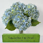 YalzoneMet 4Pcs Light Blue-Green Real Touch Hydrangea Artificial Flowers 21'' Faux Latex Hydrangea Flowers for Wedding Table Centerpieces Fake Flowers for Party Home Kitchen Living Room Decor