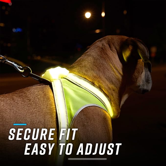 Noxgear LightHound – Revolutionary Illuminated and Reflective Harness for Dogs Including Multicolored LED Fiber Optics (USB Rechargeable, Adjustable, Lightweight, Rainproof) (Small)-Mewly Pet