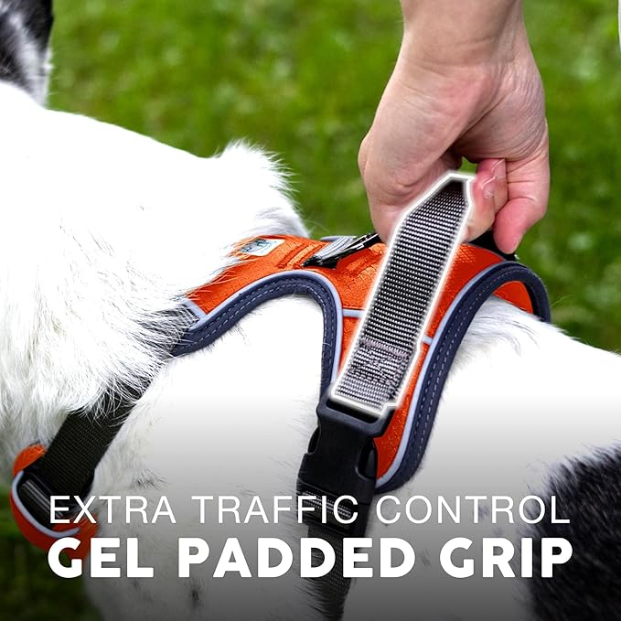 Embark Adventure Dog Harness, No-Pull Reflective Trim Dog Harness for Small, Medium & Large Dogs - Heavy Duty Oxford, 2 Leash Clips & Gel Lined Handle. Soft & Padded Puppy Dog Vest for Any Breed-Mewly Pet