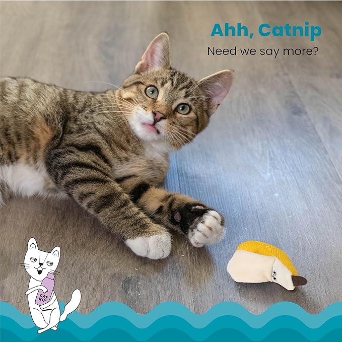 Catstages Dental Banana Cat Toy with Catnip, Interactive Chew for Healthy Teeth and Gums, Engages Hunting Instincts, Durable Indoor Play for Cats, Yellow-Mewly Pet