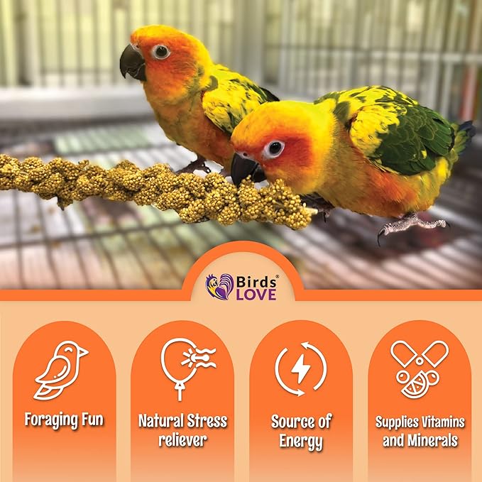 Birds LOVE Wholesome & Lovely Spray Millet Non-GMO for Birds Cockatiel Lovebird Parakeet Finch Canary All Parrots Healthy Treat - 2LBS-Mewly Pet