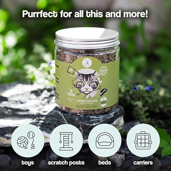 Organic Catnip for Cats & Kittens – 1.76 oz Premium Natural Catnip, High Potency Blend for Playtime, Training, and Stress Relief, 2 Cups of Dried Cat Nip Leaves-Mewly Pet