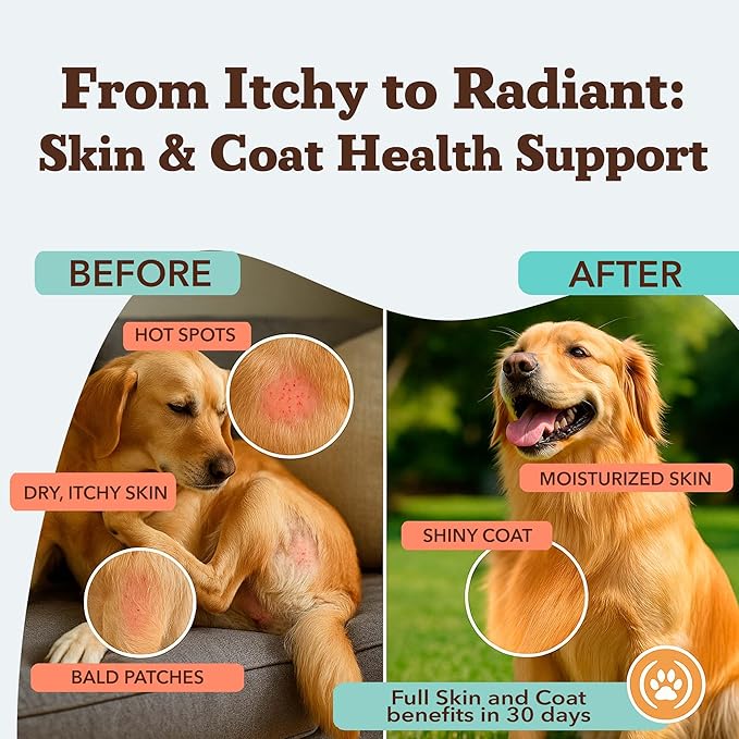 Natural Dog Company Skin & Coat Supplement for Dogs Omega-3 Rich Salmon Oil Chews for Itchy Skin Relief, Shedding & Allergy Support, Shiny Coat Health, with Biotin, Vitamin E, Grain-Free (90 Count)-Mewly Pet